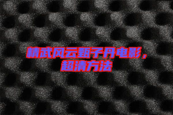 精武風(fēng)云甄子丹電影，超清方法