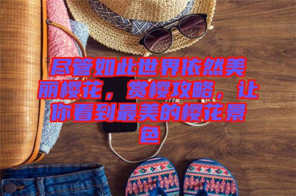 盡管如此世界依然美麗櫻花，賞櫻攻略，讓你看到最美的櫻花景色