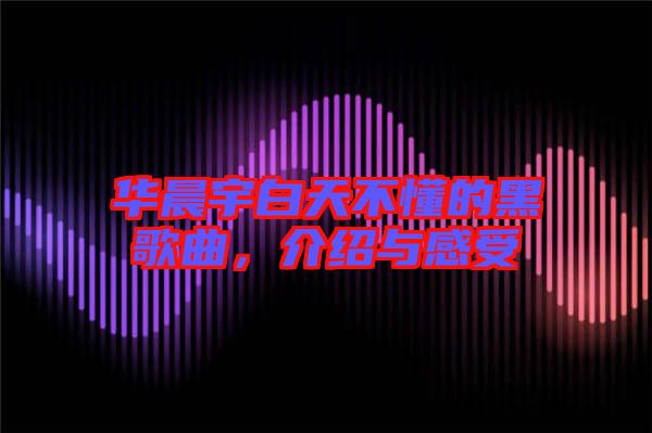 華晨宇白天不懂的黑歌曲，介紹與感受