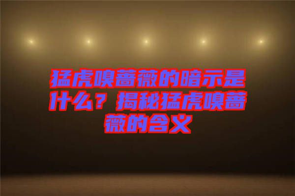 猛虎嗅薔薇的暗示是什么？揭秘猛虎嗅薔薇的含義