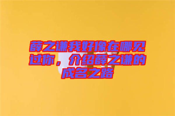 薛之謙我好像在哪見過(guò)你，介紹薛之謙的成名之路