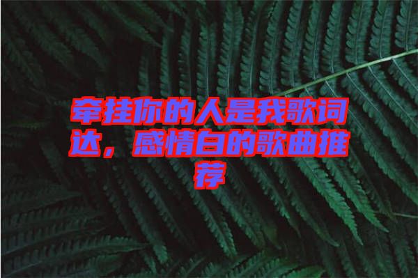 牽掛你的人是我歌詞達(dá)，感情白的歌曲推薦