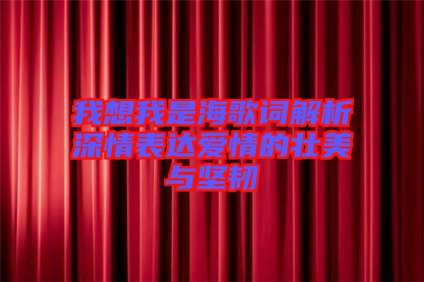 我想我是海歌詞解析深情表達(dá)愛情的壯美與堅韌