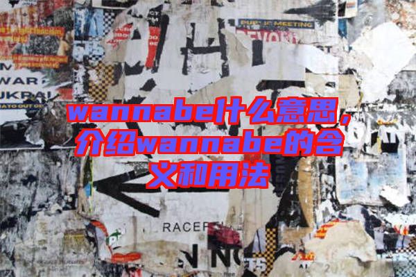 wannabe什么意思，介紹wannabe的含義和用法