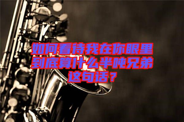 如何看待我在你眼里到底算什么半噸兄弟這句話(huà)？