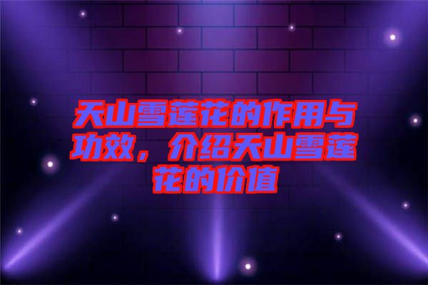 天山雪蓮花的作用與功效，介紹天山雪蓮花的價值