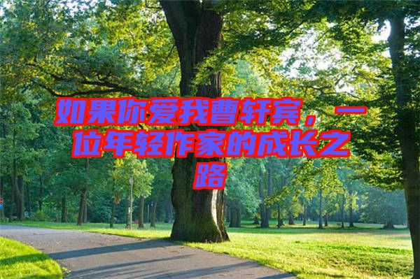 如果你愛(ài)我曹軒賓，一位年輕作家的成長(zhǎng)之路