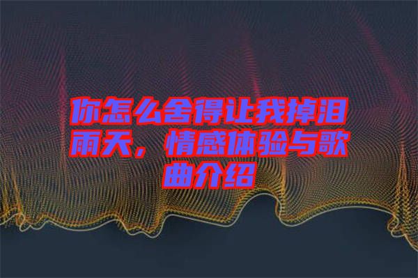 你怎么舍得讓我掉淚雨天，情感體驗與歌曲介紹