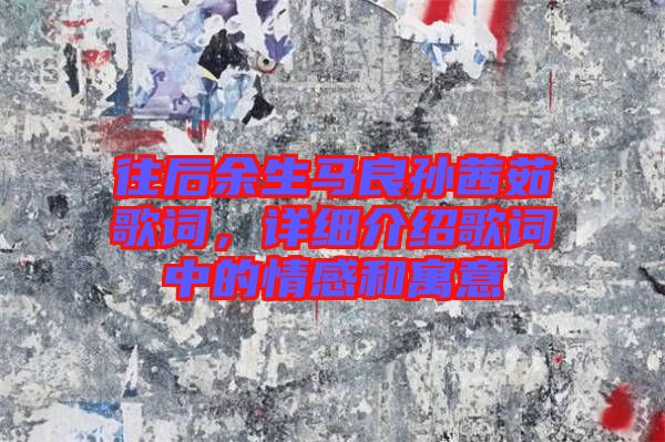 往后余生馬良孫茜茹歌詞，詳細(xì)介紹歌詞中的情感和寓意