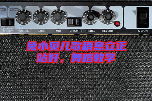 兔小貝兒歌稍息立正站好，舞蹈教學(xué)