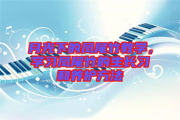 月光下的鳳尾竹教學，學習鳳尾竹的生長習和養(yǎng)護方法