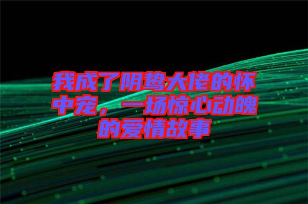 我成了陰鷙大佬的懷中寵，一場驚心動魄的愛情故事