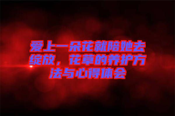 愛上一朵花就陪她去綻放，花草的養(yǎng)護(hù)方法與心得體會(huì)
