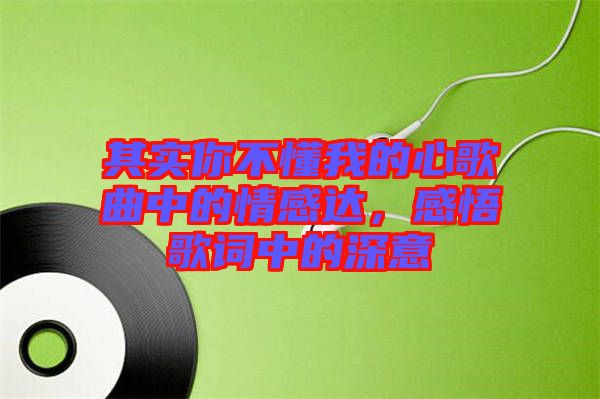 其實(shí)你不懂我的心歌曲中的情感達(dá)，感悟歌詞中的深意