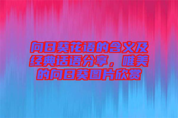 向日葵花語(yǔ)的含義及經(jīng)典話語(yǔ)分享，唯美的向日葵圖片欣賞