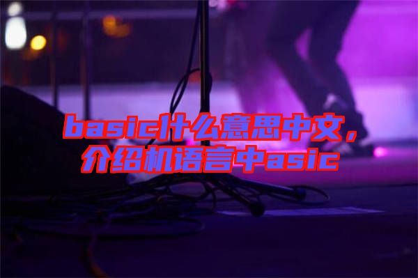 basic什么意思中文，介紹機(jī)語(yǔ)言中asic
