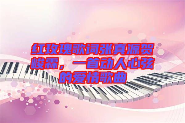 紅玫瑰歌詞張真源賀峻霖，一首動人心弦的愛情歌曲