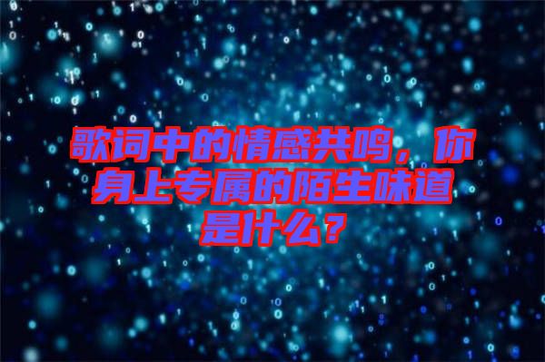 歌詞中的情感共鳴，你身上專屬的陌生味道是什么？