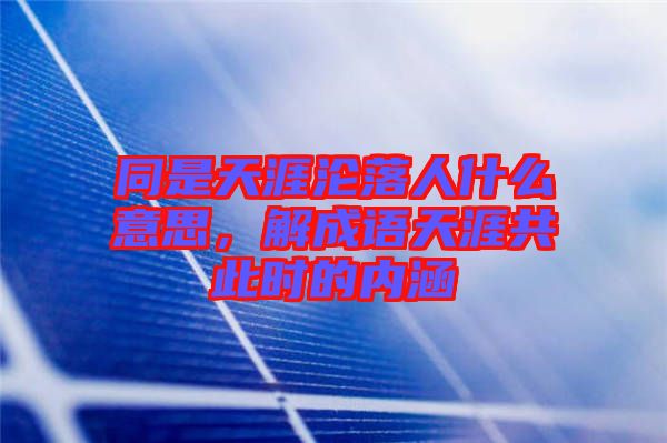 同是天涯淪落人什么意思，解成語天涯共此時的內(nèi)涵