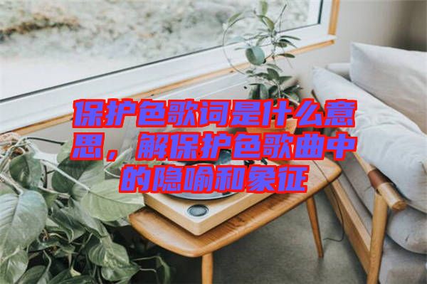 保護色歌詞是什么意思，解保護色歌曲中的隱喻和象征