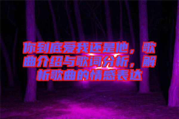 你到底愛我還是他，歌曲介紹與歌詞分析，解析歌曲的情感表達