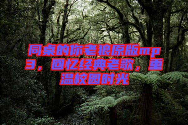 同桌的你老狼原版mp3，回憶經(jīng)典老歌，重溫校園時(shí)光