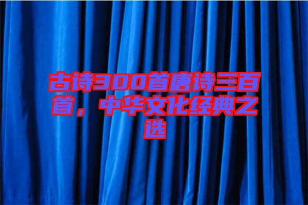古詩(shī)300首唐詩(shī)三百首，中華文化經(jīng)典之選