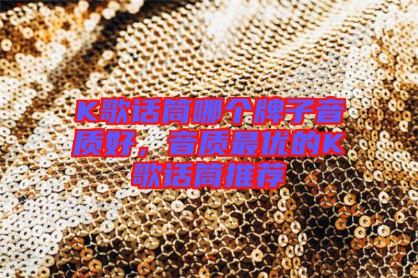 K歌話筒哪個牌子音質(zhì)好，音質(zhì)最優(yōu)的K歌話筒推薦
