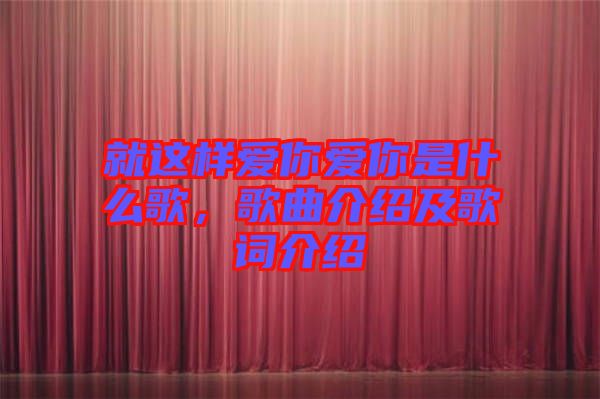 就這樣愛你愛你是什么歌，歌曲介紹及歌詞介紹