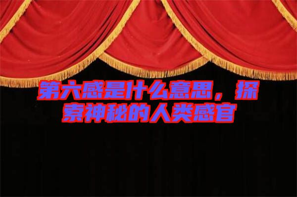 第六感是什么意思，探索神秘的人類感官