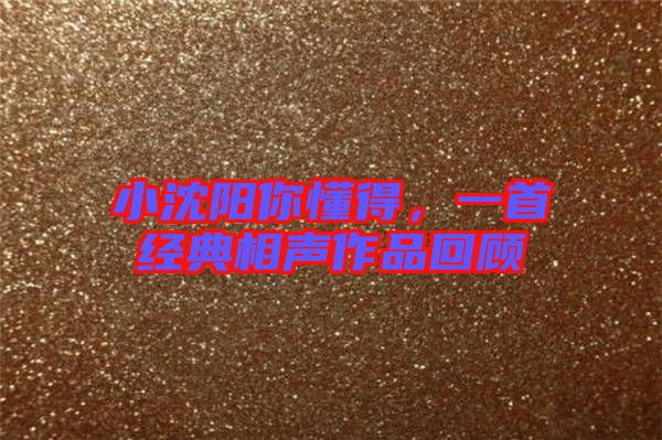 小沈陽你懂得，一首經(jīng)典相聲作品回顧