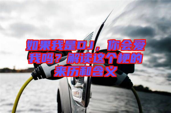 如果我是DJ，你會(huì)愛我嗎？解讀這個(gè)梗的來歷和含義