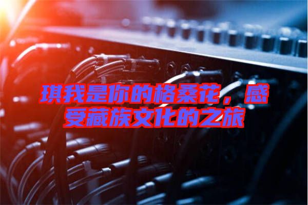 琪我是你的格?；?，感受藏族文化的之旅