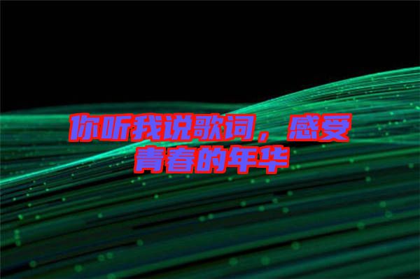 你聽我說歌詞，感受青春的年華