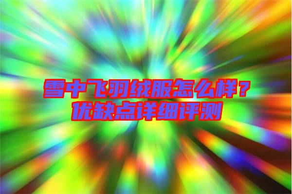 雪中飛羽絨服怎么樣？優(yōu)缺點詳細(xì)評測