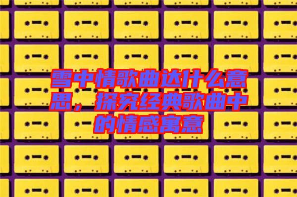雪中情歌曲達(dá)什么意思，探究經(jīng)典歌曲中的情感寓意