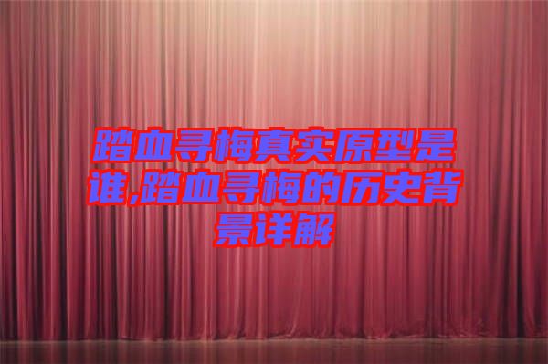 踏血尋梅真實原型是誰,踏血尋梅的歷史背景詳解
