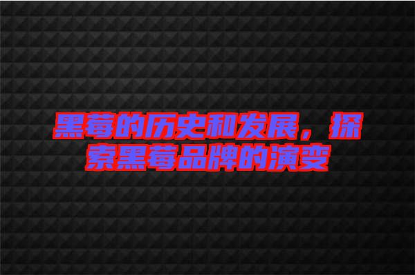 黑莓的歷史和發(fā)展，探索黑莓品牌的演變