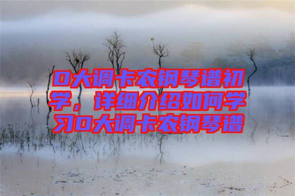 D大調(diào)卡農(nóng)鋼琴譜初學(xué)，詳細(xì)介紹如何學(xué)習(xí)D大調(diào)卡農(nóng)鋼琴譜