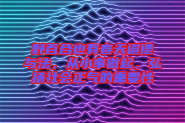 野百合也有春天道德與法，從小事做起，弘揚社會正氣的重要性