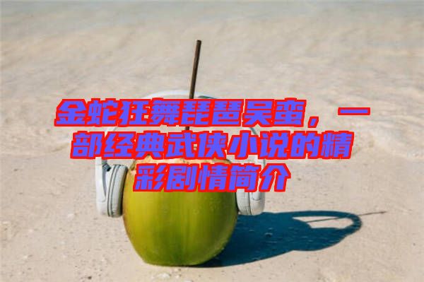 金蛇狂舞琵琶吳蠻，一部經(jīng)典武俠小說的精彩劇情簡介
