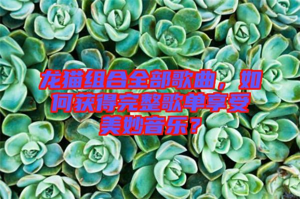 龍貓組合全部歌曲，如何獲得完整歌單享受美妙音樂？