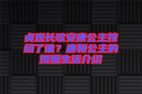 貞觀長(zhǎng)歌安康公主嫁給了誰？唐朝公主的婚姻生活介紹