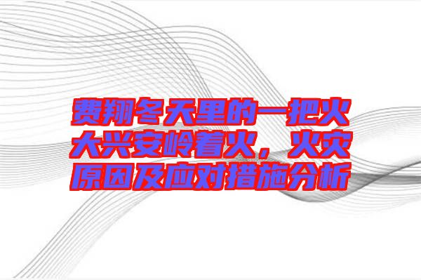 費(fèi)翔冬天里的一把火大興安嶺著火，火災(zāi)原因及應(yīng)對(duì)措施分析