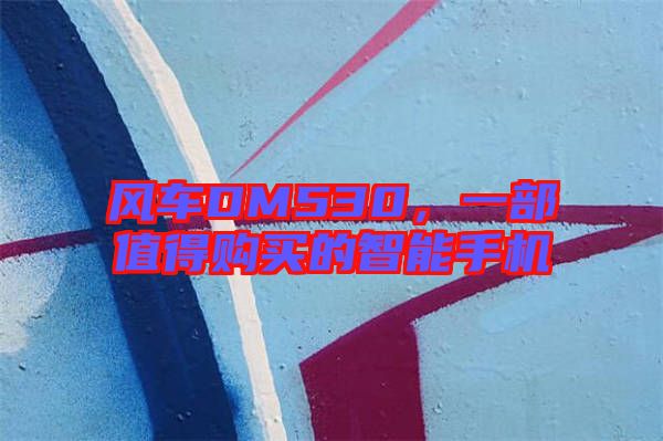 風(fēng)車DM530，一部值得購買的智能手機