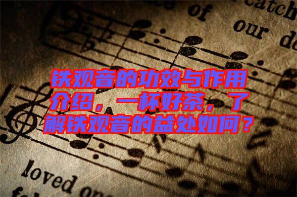 鐵觀音的功效與作用介紹，一杯好茶，了解鐵觀音的益處如何？