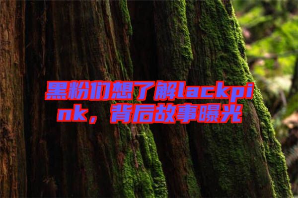 黑粉們想了解lackpink，背后故事曝光