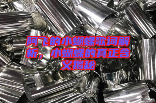 阿飛的小蝴蝶歌詞解析，小蝴蝶的真正含義揭秘