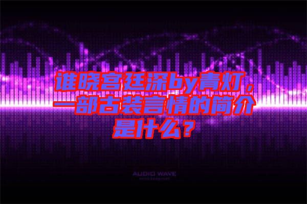 誰曉宮廷深by青燈，一部古裝言情的簡介是什么？
