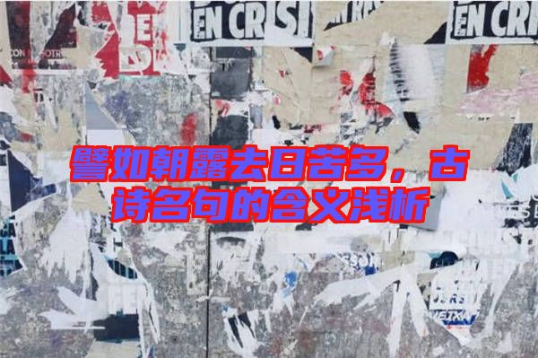 譬如朝露去日苦多，古詩名句的含義淺析